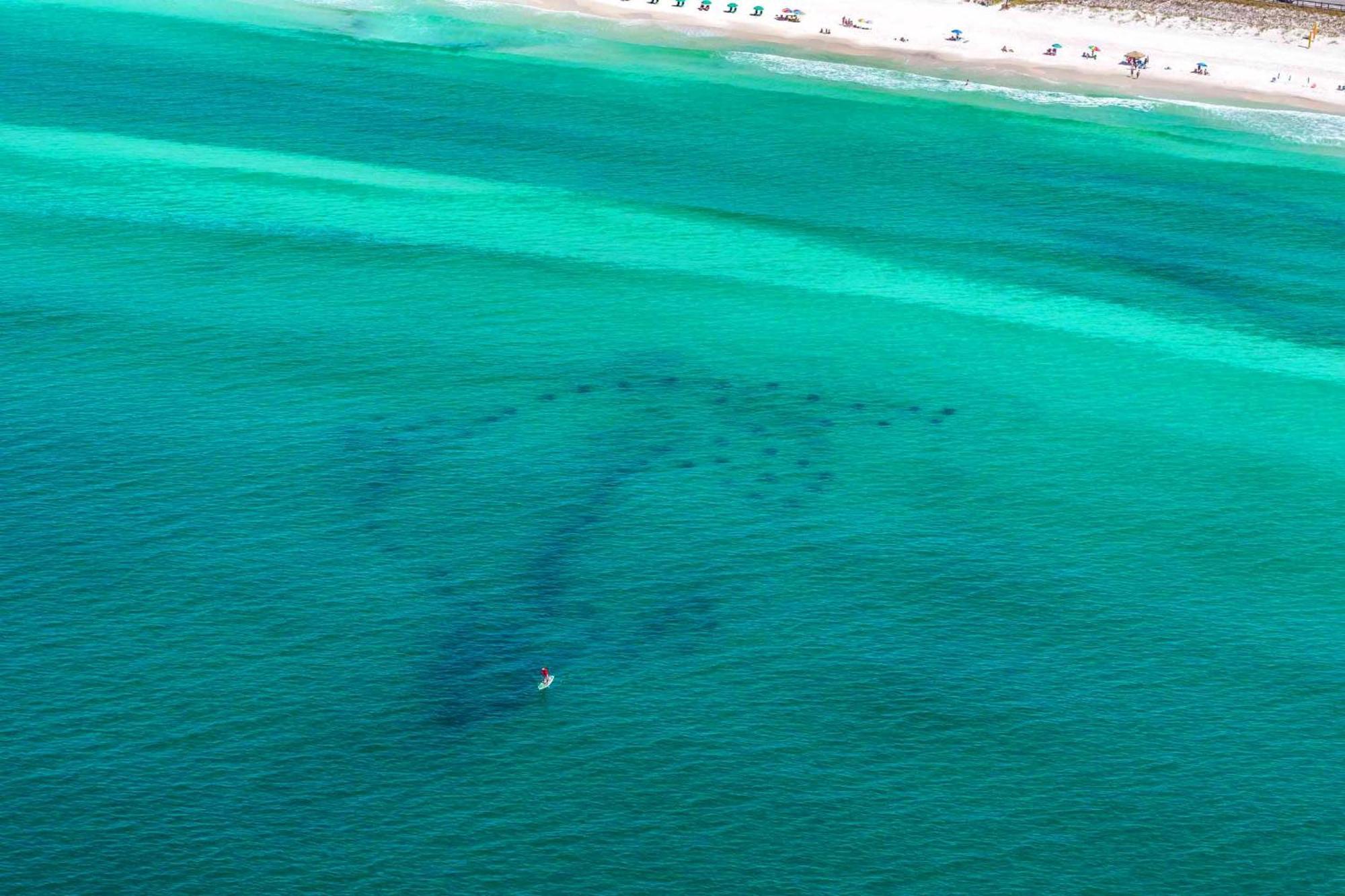 Ariel Dunes I 2207 Destin Exterior foto
